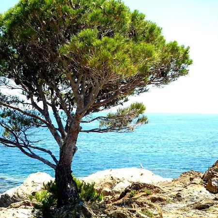 Caseta De Pescadors A Les Cales De Colera, 2ª Linea De Mar Holiday home *